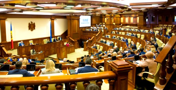 11.02.2021 Ședința plenară a Parlamentului (50931956376)