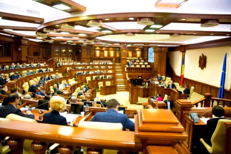 11.02.2021 Ședința plenară a Parlamentului (50932074527)