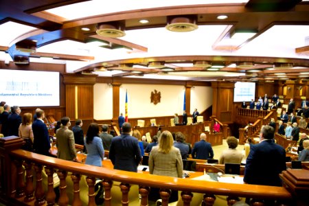 11.02.2021 Ședința plenară a Parlamentului (50932075547)