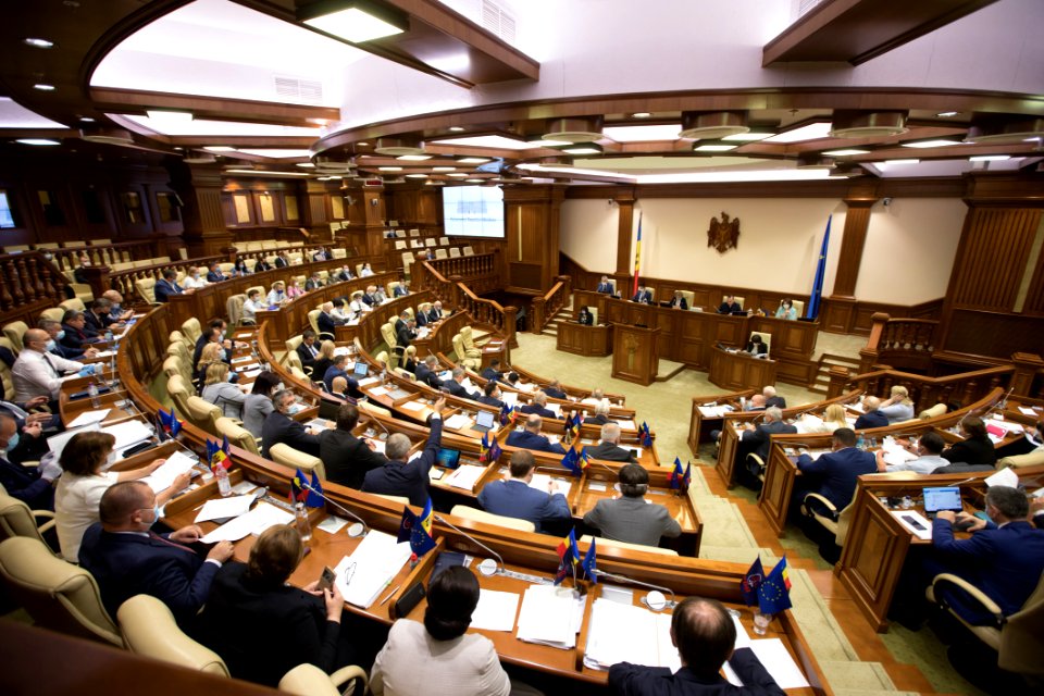 11.06.2020 Ședința plenară (49993721548)