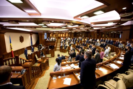 11.06.2020 Ședința plenară (49994238871)