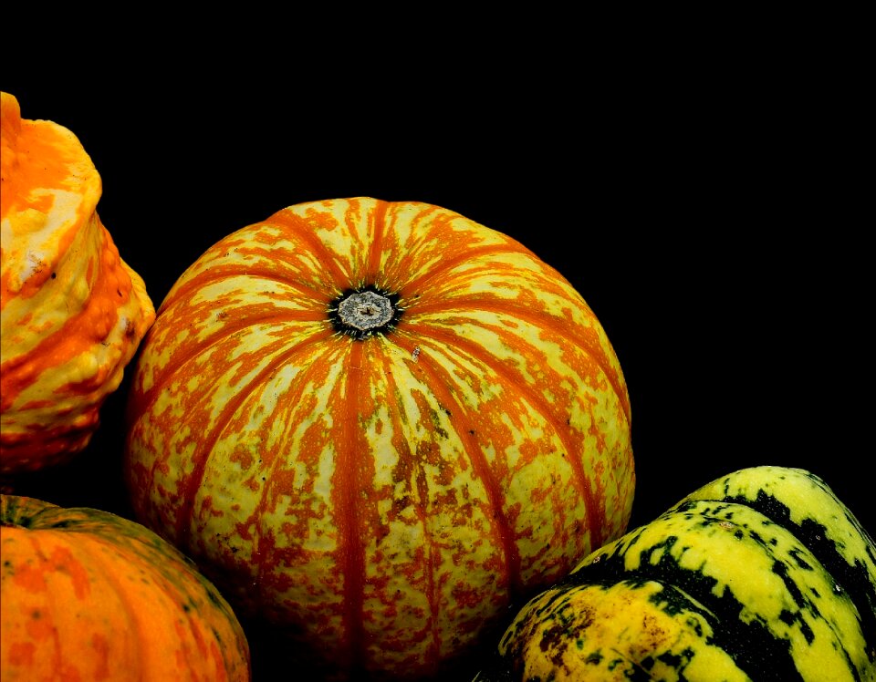 Autumn decoration colorful