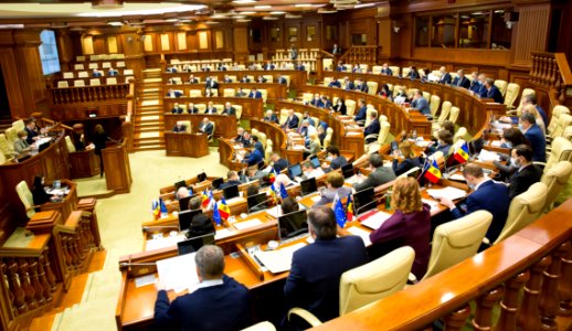 12.03.2021 Ședința plenară a Parlamentului (51028406926)