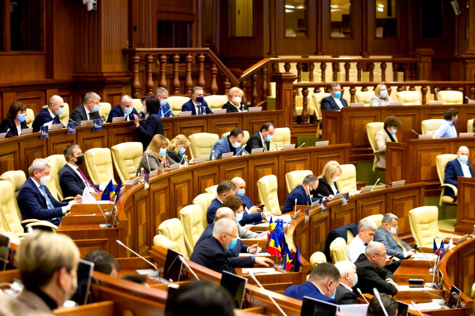 12.02.2021 Ședința plenară (50935281802)