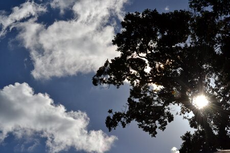 Sun shadow clear sky