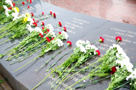 15.02.2021 Acțiuni solemne, consacrate Zilei comemorării celor căzuți în războiul din Afganistan (50946078271)