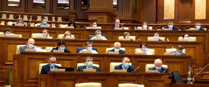 16.07.2020 Ședința plenară (50118442316)