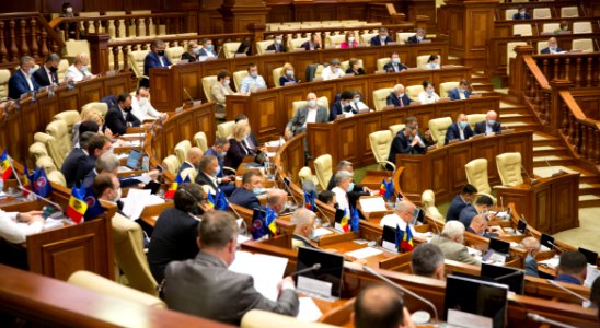 16.07.2020 Ședința plenară (50118665357)
