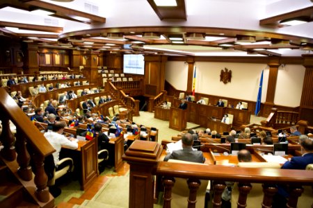 16.07.2020 Ședința plenară (50118665422)