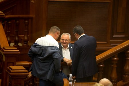 16.08.2019 Ședința plenară (48549807162)