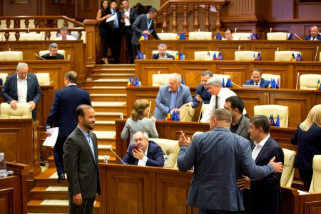 16.08.2019 Ședința plenară (48549662326)