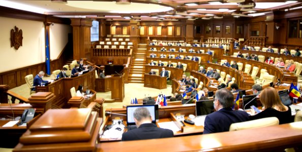 19.03.2021 Ședința plenară (51050909273)