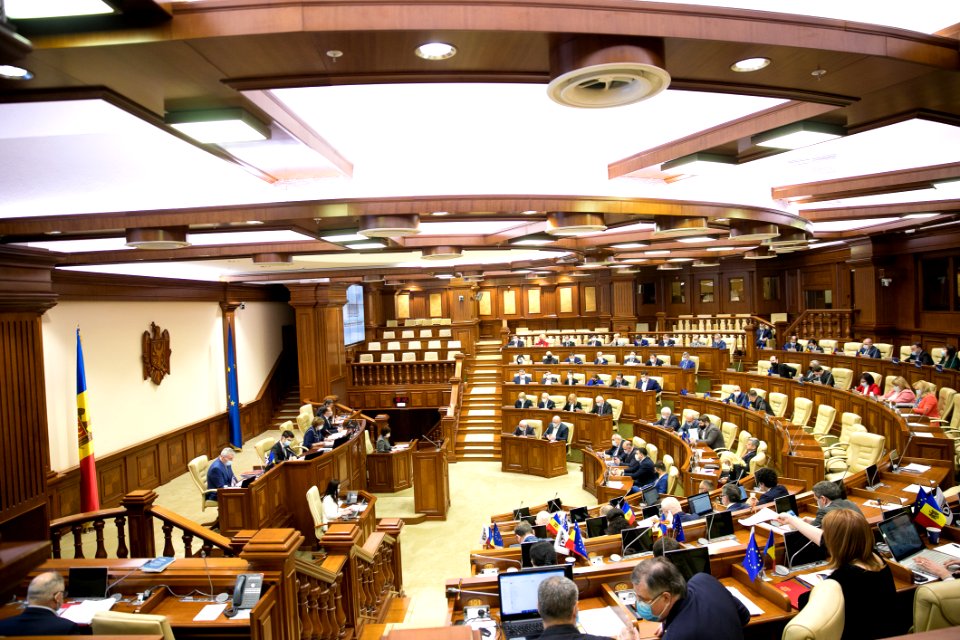 19.03.2021 Ședința plenară (51050909233)