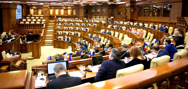 19.03.2021 Ședința plenară (51051719717)
