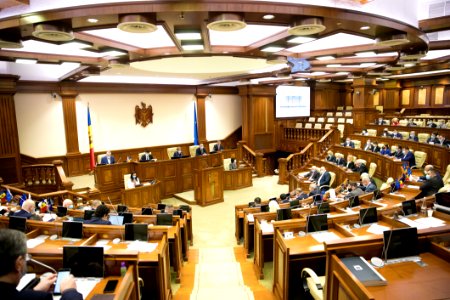 19.03.2021 Ședința plenară (51051719797)