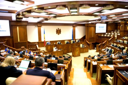19.03.2021 Ședința plenară (51051718922)