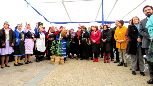 20170905 - VI Expoferia Mujeresndígenas (36894812456)