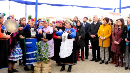 20170905 - VI Expoferia Mujeresndígenas (36894810466)