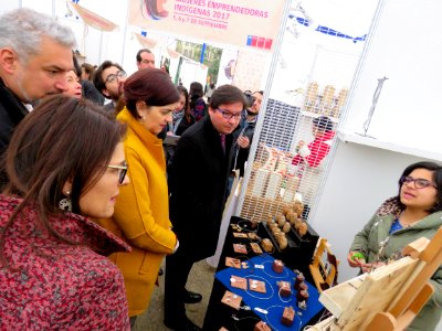 20170905 - VI Expoferia Mujeresndígenas (36248176754)
