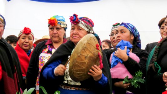 20170905 - VI Expoferia Mujeresndígenas (36913016032)