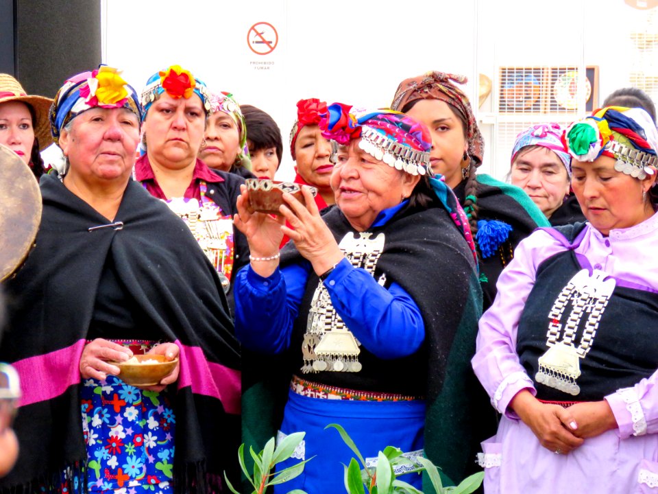 20170905 - VI Expoferia Mujeresndígenas (36269780033)
