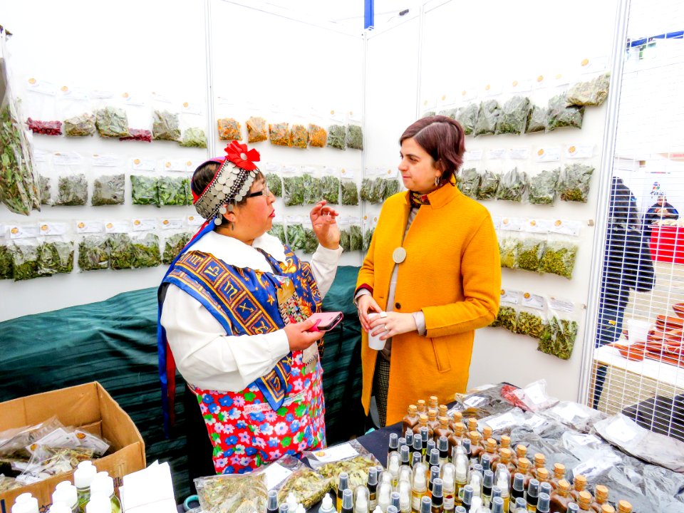 20170905 - VI Expoferia Mujeresndígenas (37083255985)