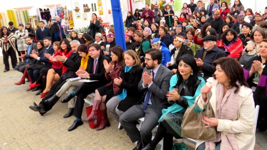 20170905 - VI Expoferia Mujeresndígenas (36687063820)