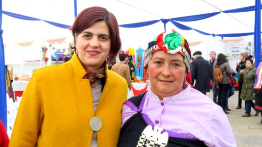 20170905 - VI Expoferia Mujeresndígenas (37083244005)