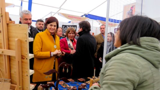 20170905 - VI Expoferia Mujeresndígenas (36913023192)