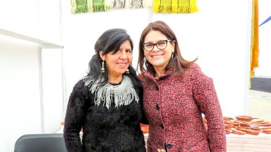 20170905 - VI Expoferia Mujeresndígenas (37083256905)