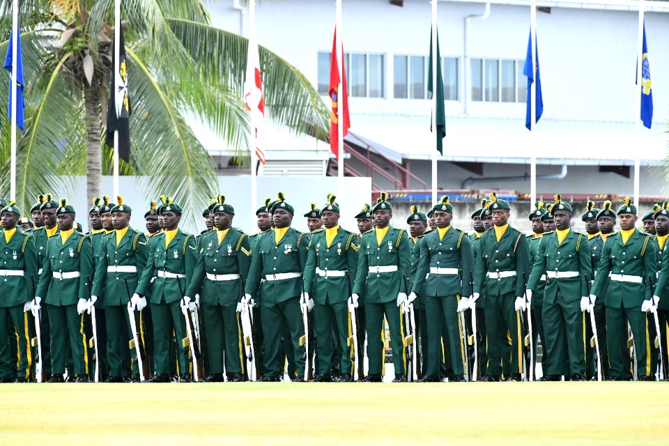 2019 Independence Day Parade and “We Gatherin” Procession (49146279586)