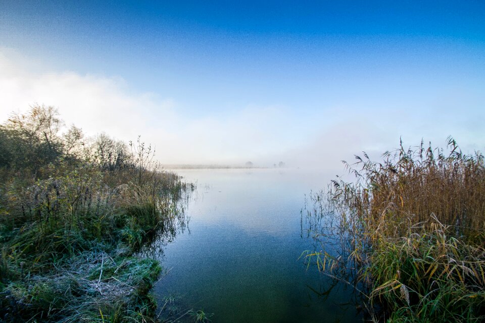 Fog cold nature photo