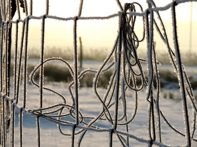 Frost morning dawn