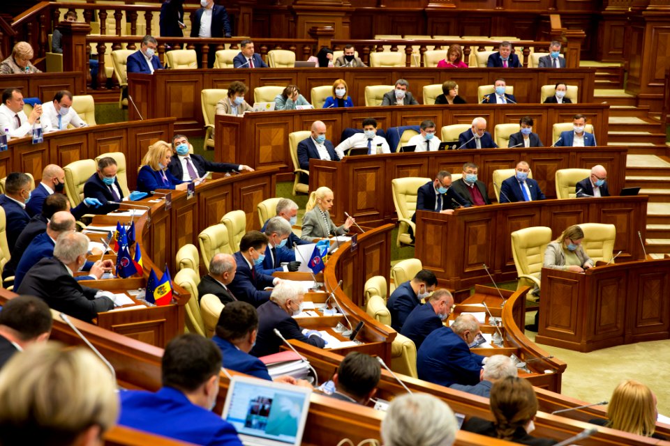 21.05.2020 Ședința plenară (49918244983)