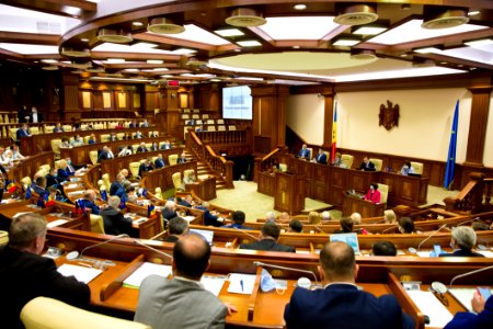 21.05.2020 Ședința plenară (49919055702)