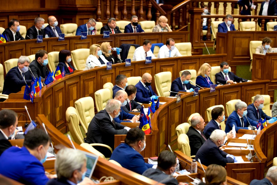 21.05.2020 Ședința plenară (49918759111)