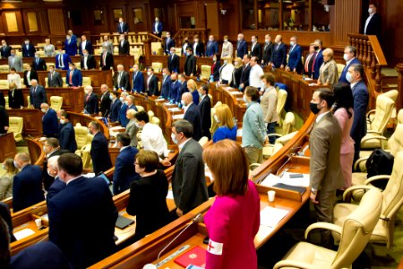 21.05.2020 Ședința plenară (49919055452)