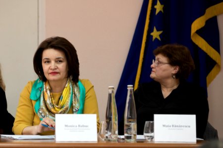 25.02.2020 Consultări publice pe platforma Comisiei cultură,educație, cercetare, tineret, sport și mass-media ”Bullying-ul în rîndul adolescenților din Republica Moldova” (49583292648)