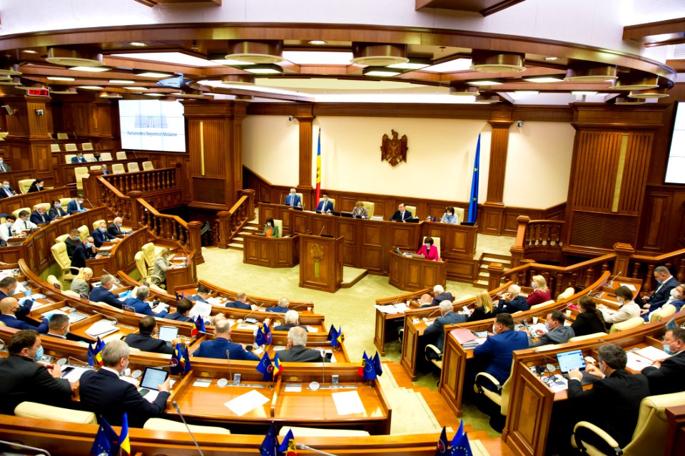 21.05.2020 Ședința plenară (49919055942)