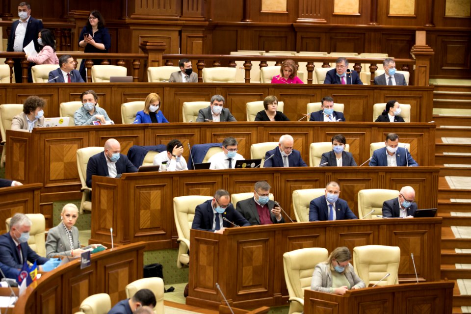 21.05.2020 Ședința plenară (49918245158)