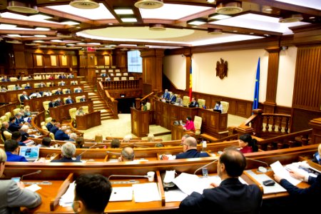21.05.2020 Ședința plenară (49918759351)