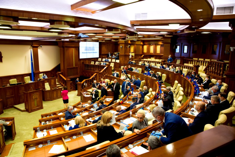 21.05.2020 Ședința plenară (49918759926)