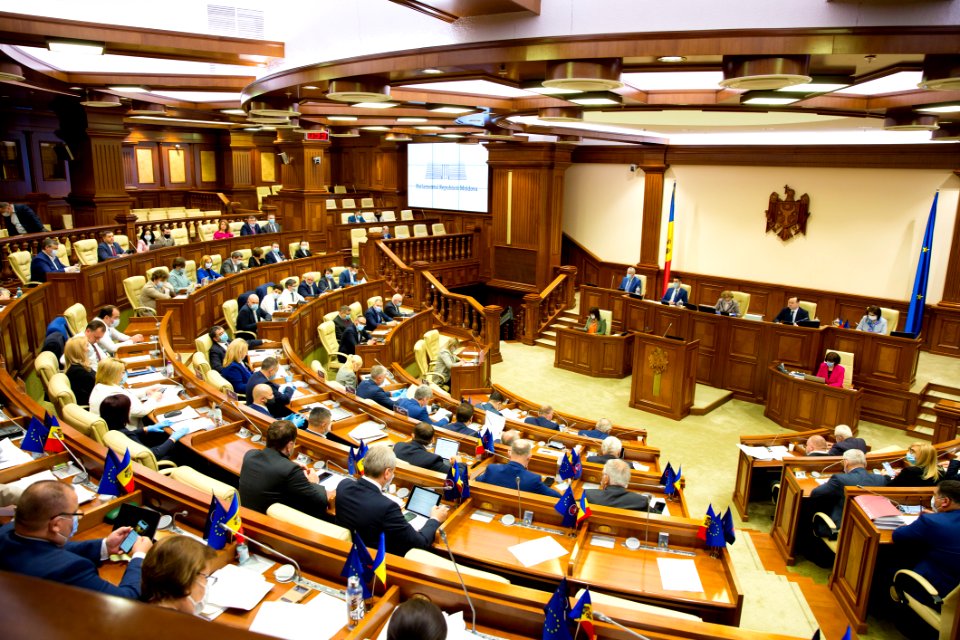 21.05.2020 Ședința plenară (49919055917)