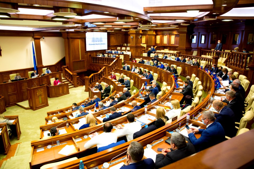 21.05.2020 Ședința plenară (49919056047)