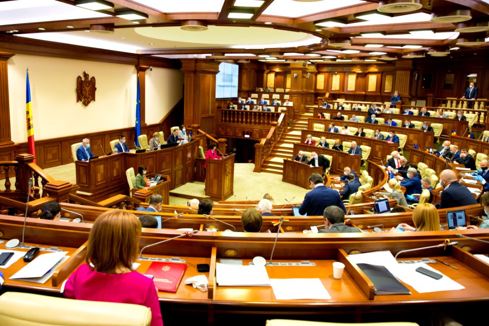 21.05.2020 Ședința plenară (49919056202)