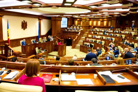 21.05.2020 Ședința plenară (49919056202)