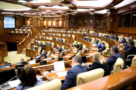 22.03.2021 Ședința plenară (51062969511)