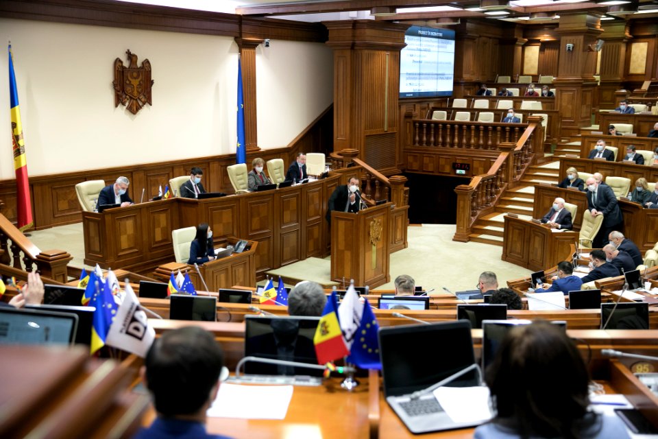 22.03.2021 Ședința plenară (51062257253)