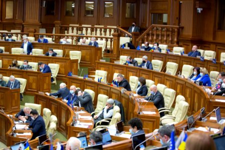 22.03.2021 Ședința plenară (51062406723)