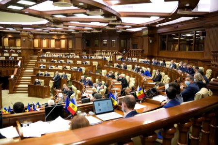 22.03.2021 Ședința plenară (51062969696)